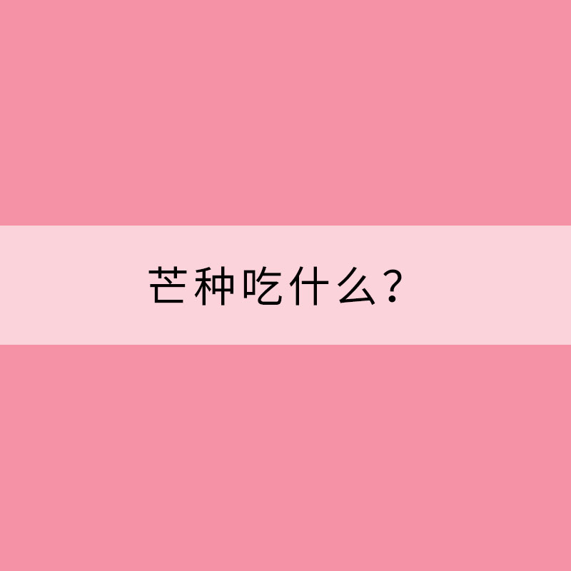 芒種吃什么？這里有“三寶”