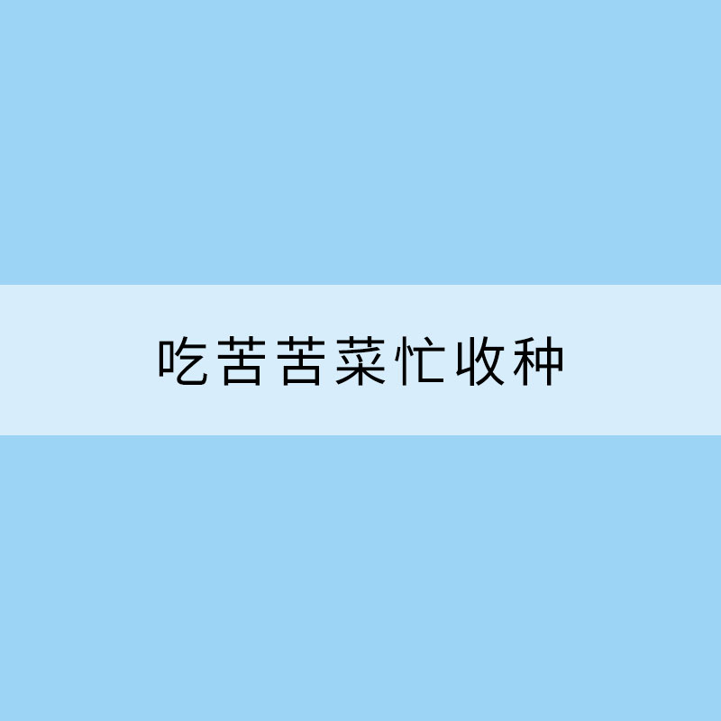 吃苦苦菜忙收種 小滿節氣習俗知多少